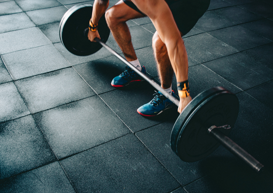 How To Use DEXA Scans To Optimize Your Fitness and Diet Plan
