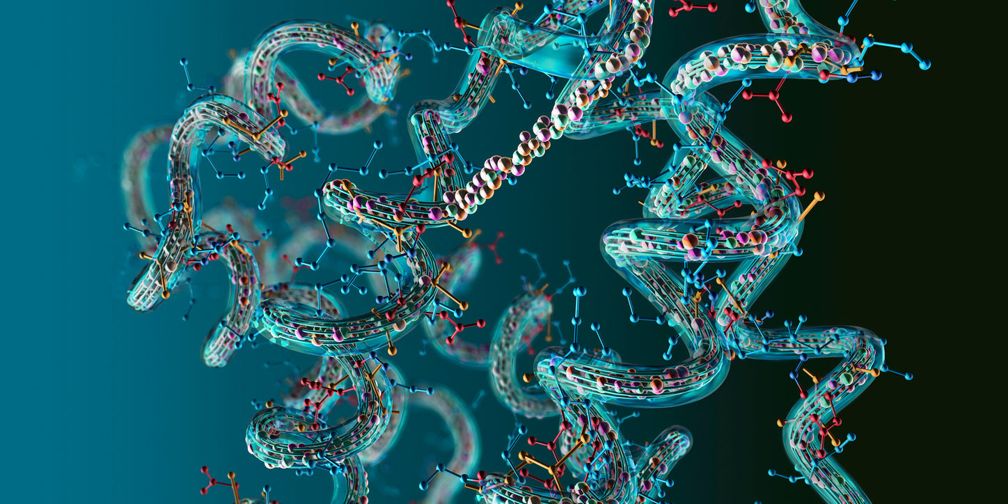 Understanding Peptides: The Building Blocks of Life and Future Directi DEXA SCAN NEAR ME Understanding Peptides: The Building Blocks of Life and Future Directi DEXA SCAN NEAR ME