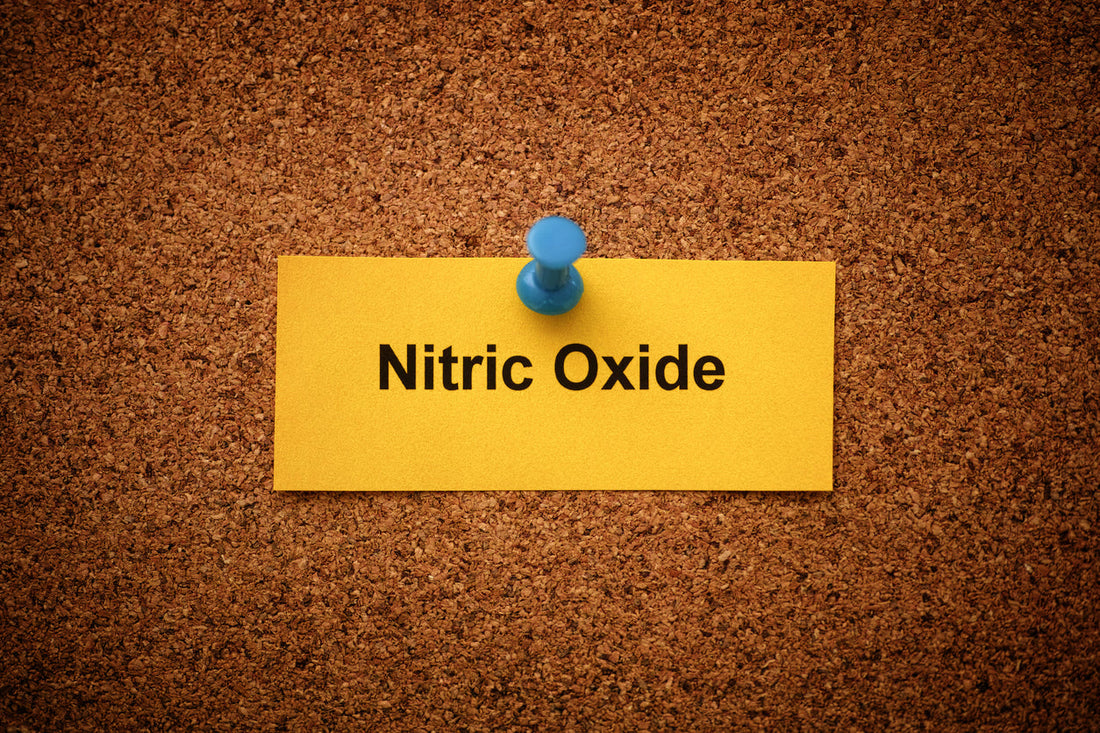 Nitric Oxide a fundamental key to longevity