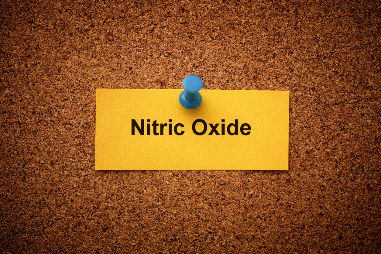Nitric Oxide a fundamental key to longevity