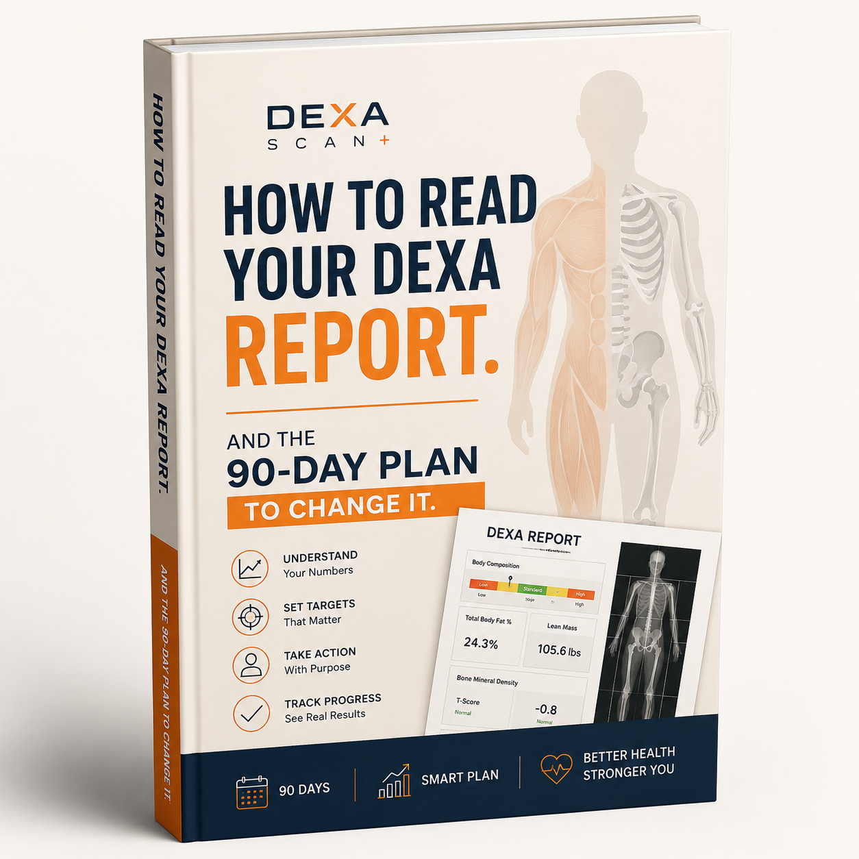 90-day plan to change your DEXA results after learning how to read