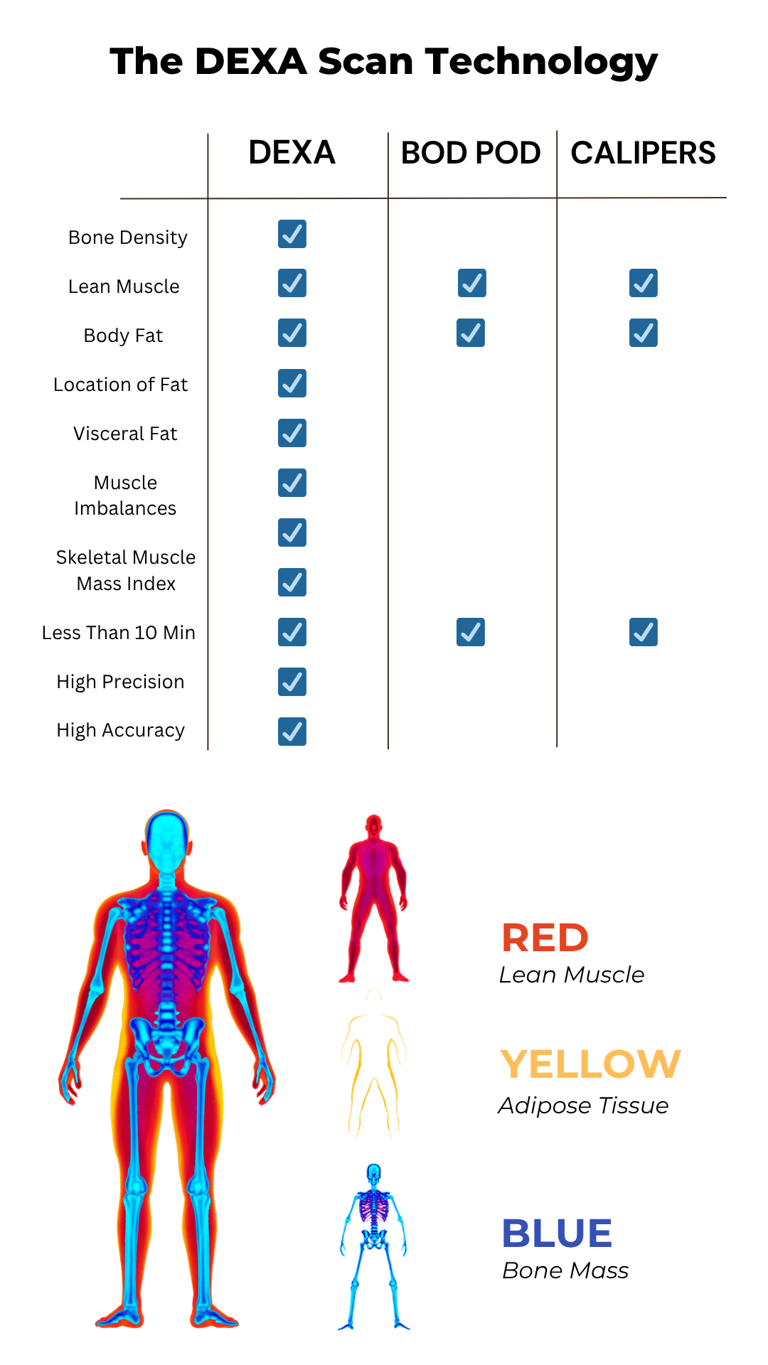 DEXA Scan technology is Gold Standard with a breakdown of results