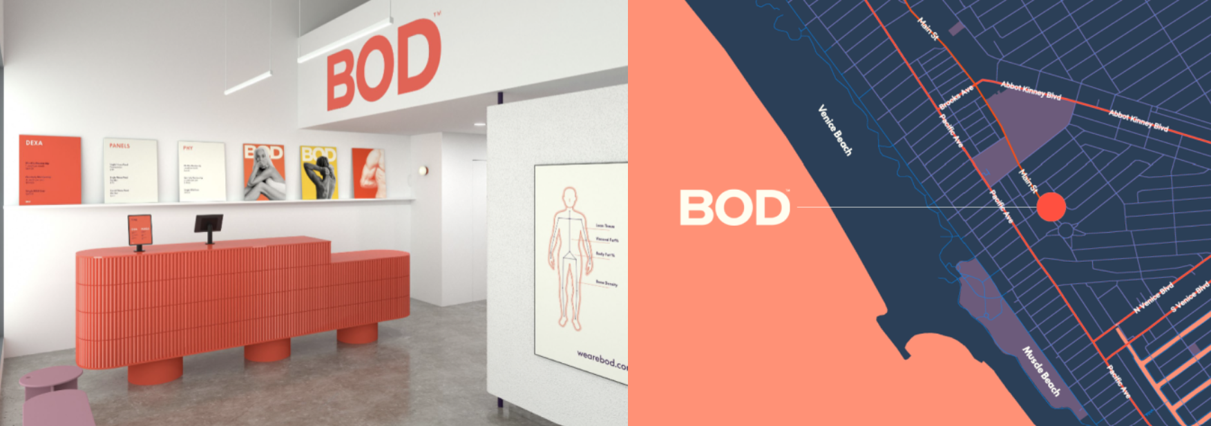 we_are_bod_1