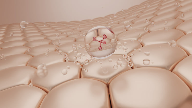 What is Rapamycin? Is it the new GLP-1 for Longevity, Bone Density and Increasing Muscle Mass?