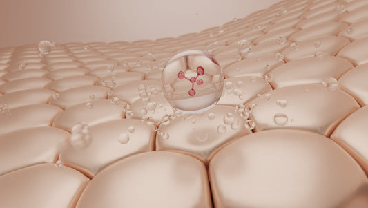 What is Rapamycin? Is it the new GLP-1 for Longevity, Bone Density and Increasing Muscle Mass?