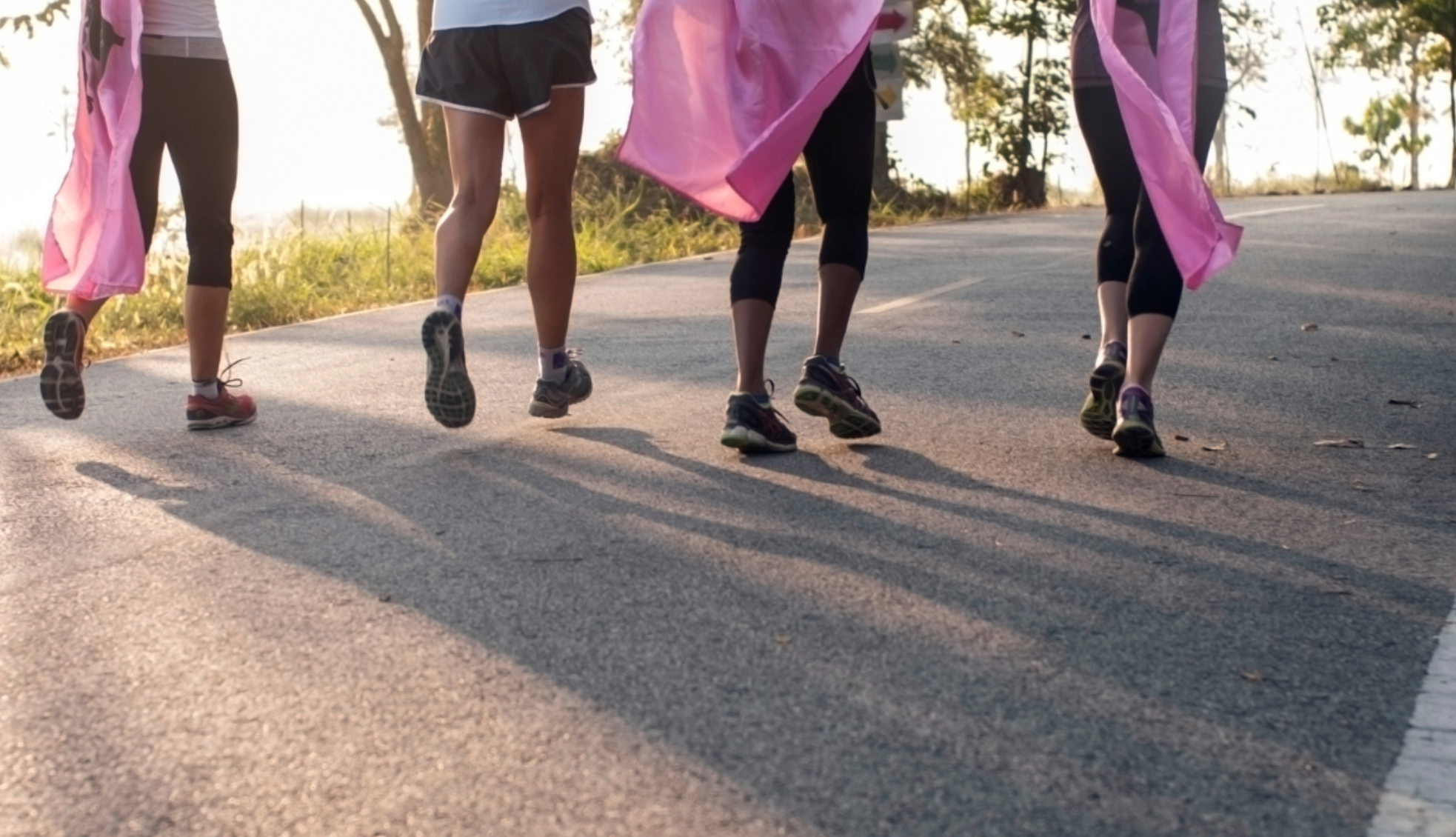 How DEXA Scans Determine Breast Cancer Risk