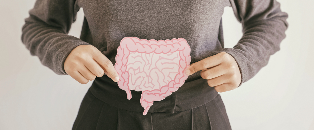 What A Healthy Gut Microbiome Can Do For You! Prebiotics vs. Probiotics