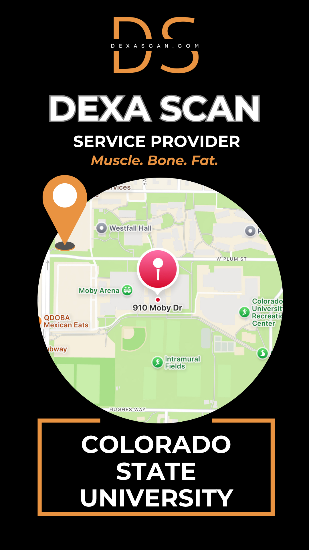 DEXA Scan in Fort Collins, CO