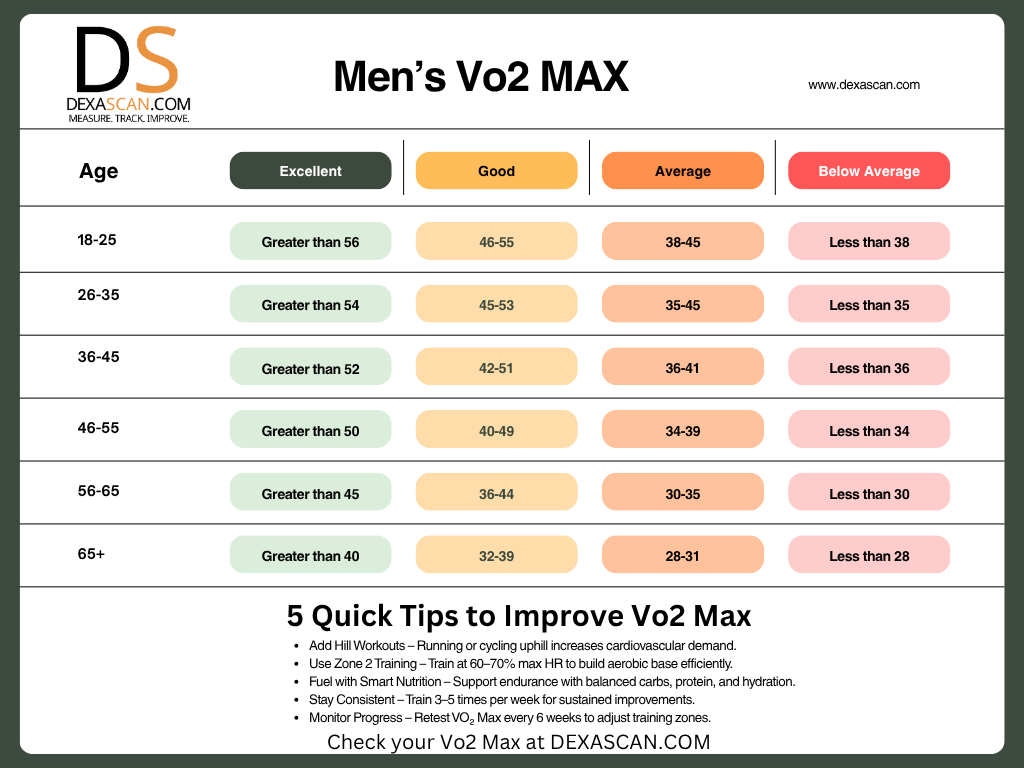 Chart detailing Men's Vo2 MAX levels with color-coded ranges and DEXASCAN branding.