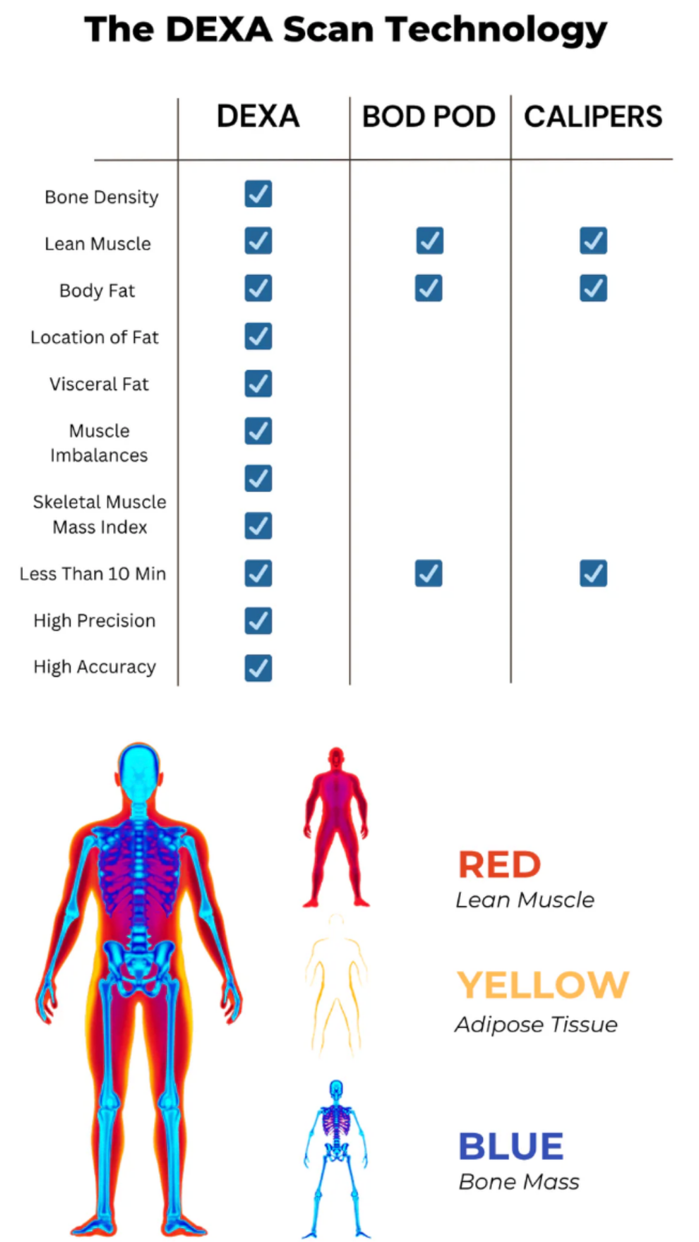 DEXA Scan in Ashland, KY – DEXA SCAN NEAR ME